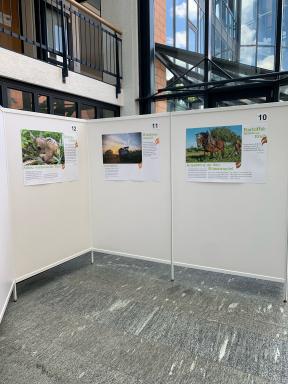 Wander-Foto-Ausstellung „Zukunftsbilder der Landwirtschaft“ (Bild 2)