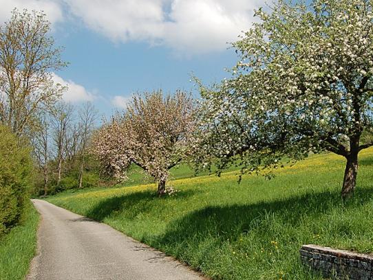 Wanderwege