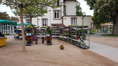 Stand der Gärtnerei auf dem Wochenmarkt